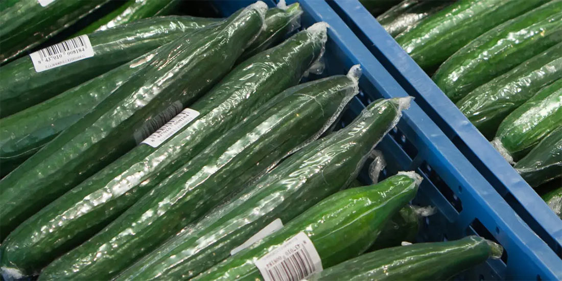 مستربچ برای تولید نایلون خیار